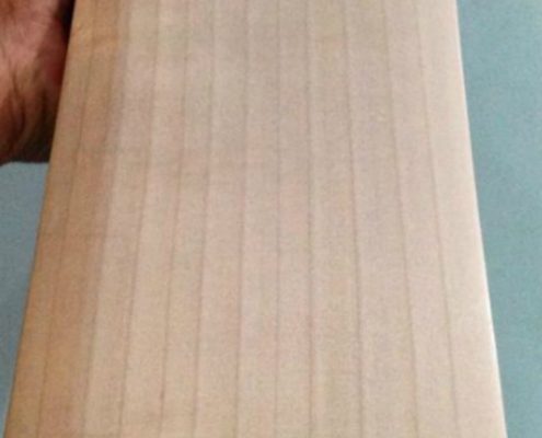 Which Cricket Bat Is The Best For You Spyn Grains Are Elongated Lines Across The Blade Which Indicate Age Of Willow Used To Make Bat Higher Older Is And