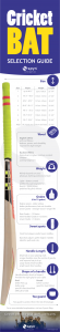 http://www.blog.spyn.co/best-cricket-bat/