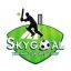 Skygoal- The Multisports Turf