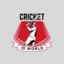 Onlinecricketworld