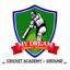 My Dream cricket academy 