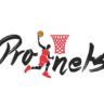 PRONETS BASKETBALL ACADEMY 