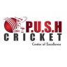 Push Cricket Academy
