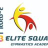 Elite Squad Gymnastics Academy